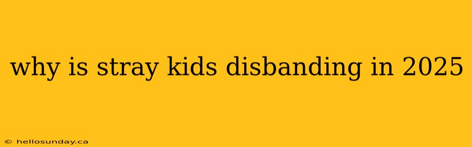 why is stray kids disbanding in 2025